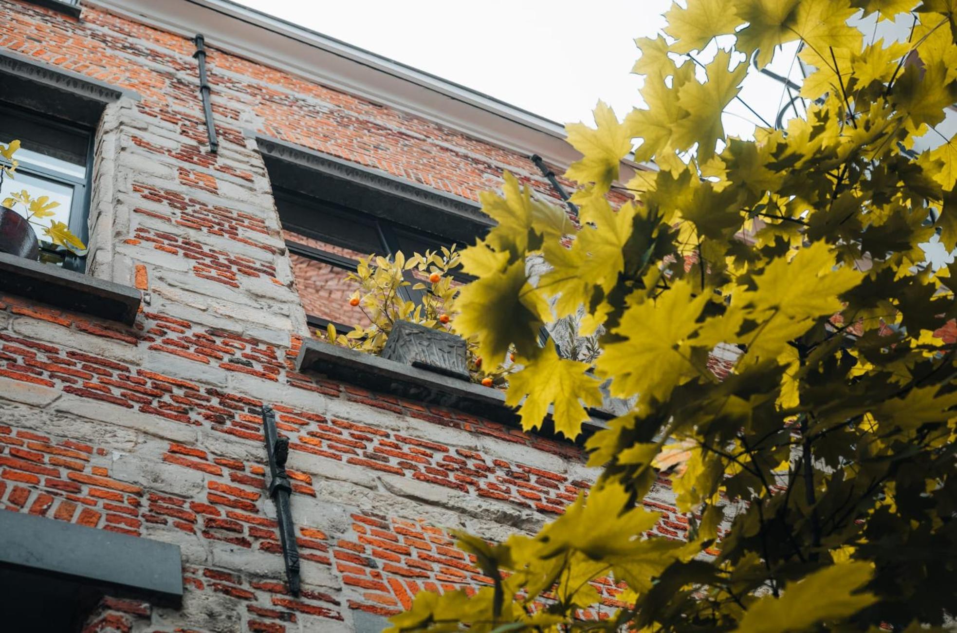 Duplex In Historical Centre With Private Courtyard Appartement *